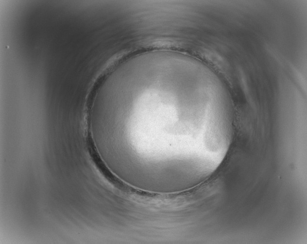 X0000071760016200607071247