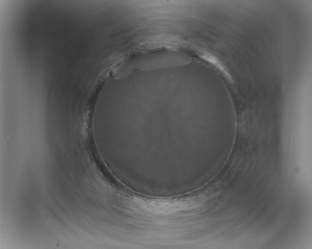 X0000071760018200607071247