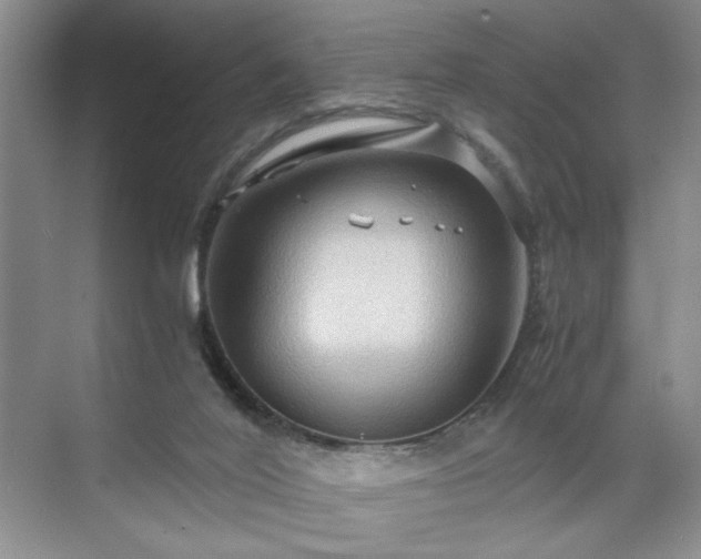 X0000071760020200607071247