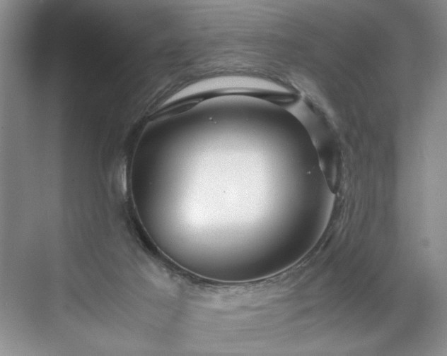 X0000071760021200607071247