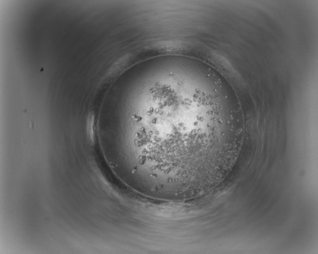 X0000071760024200607071247