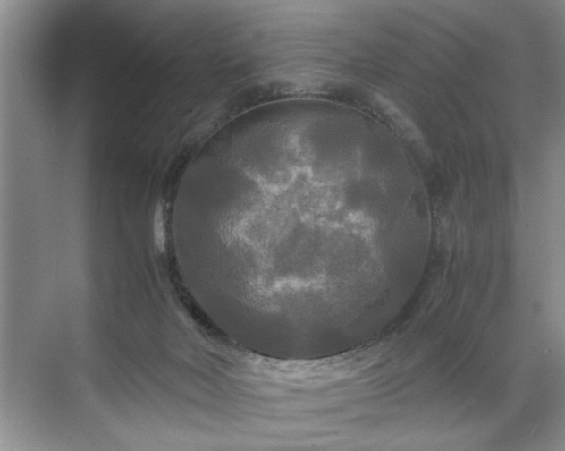 X0000071760026200607071247