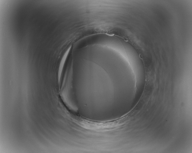 X0000071760027200607071247