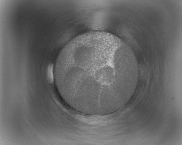 X0000071760028200607071247