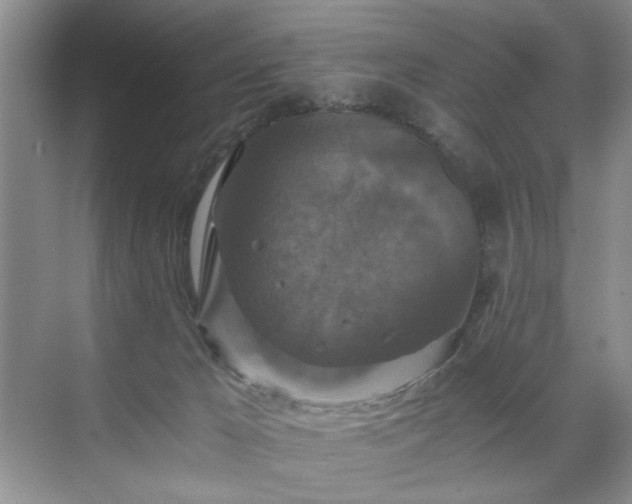 X0000071760029200607071247