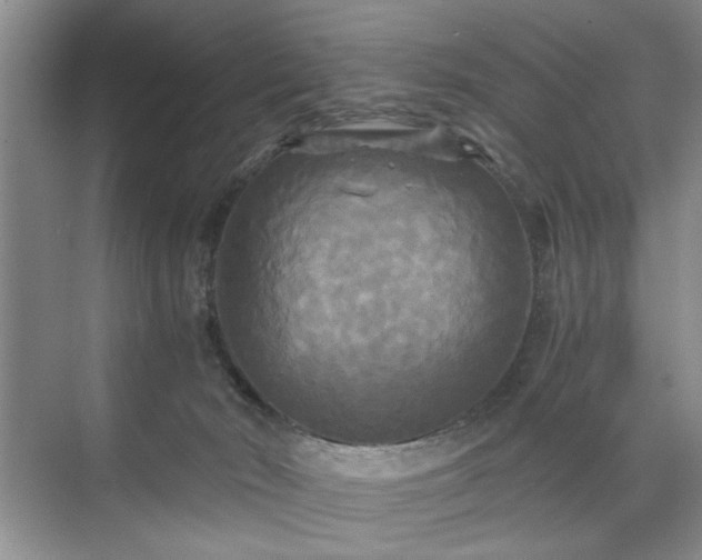 X0000071760030200607071247