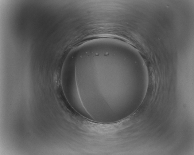 X0000071760031200607071247