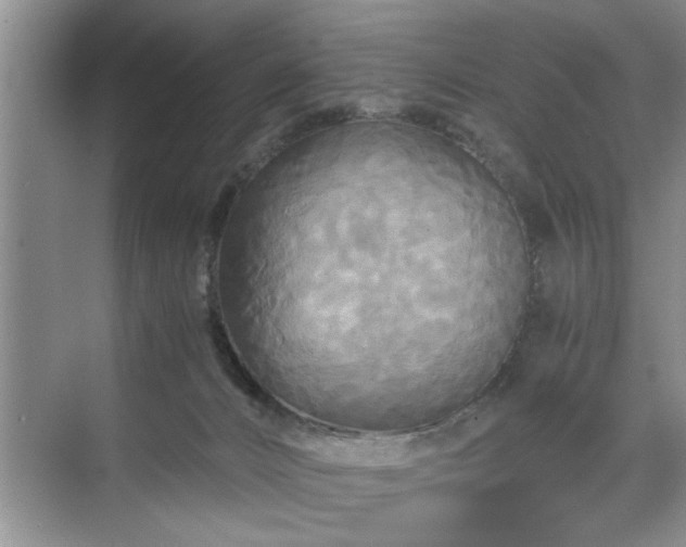 X0000071760032200607071247