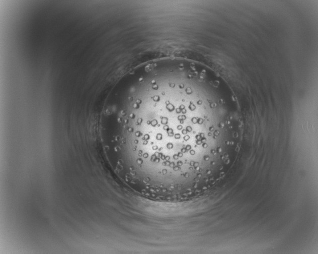 X0000071760034200607071247