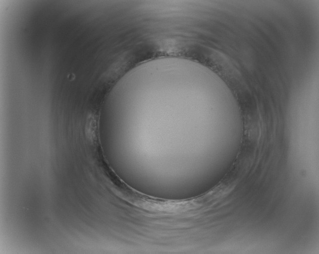 X0000071760036200607071247