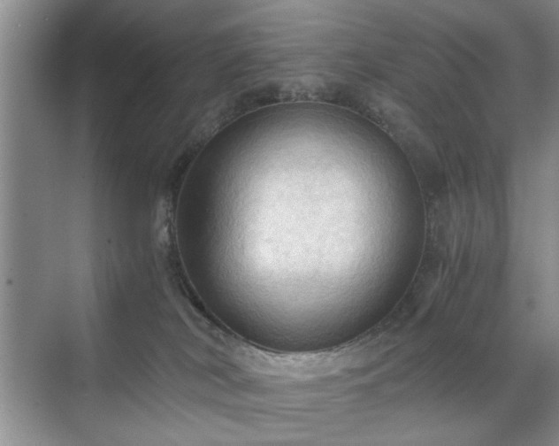 X0000071760038200607071247