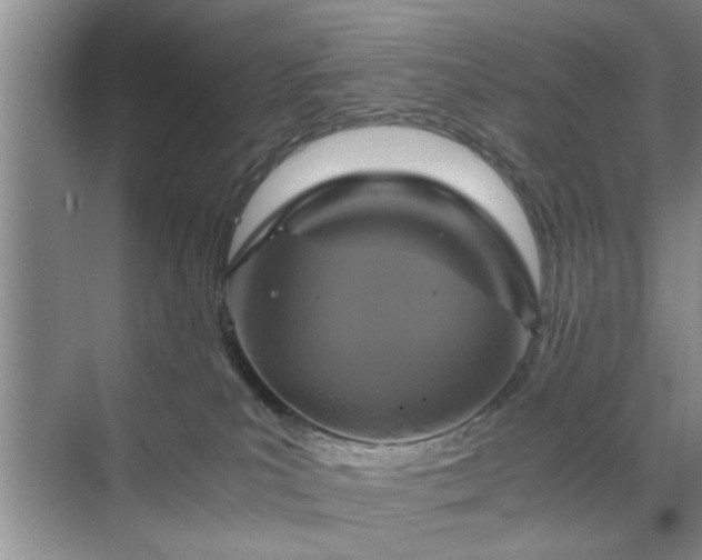 X0000071760039200607071247