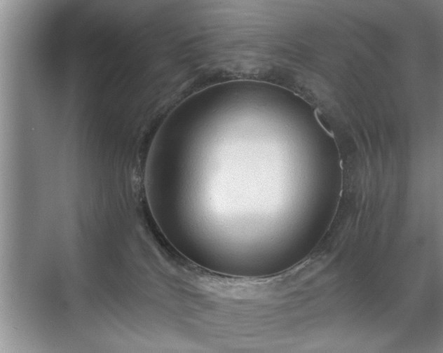 X0000071760040200607071247