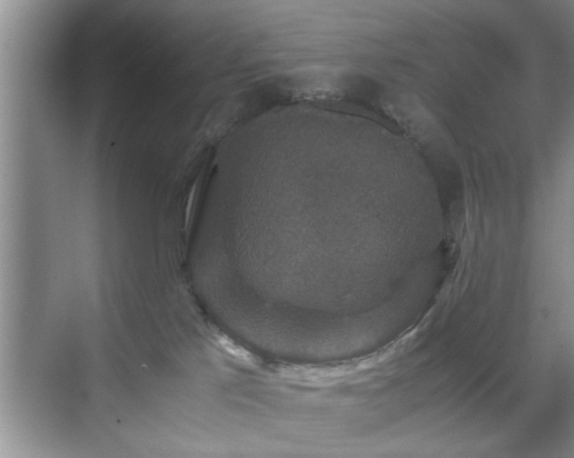 X0000071760041200607071247