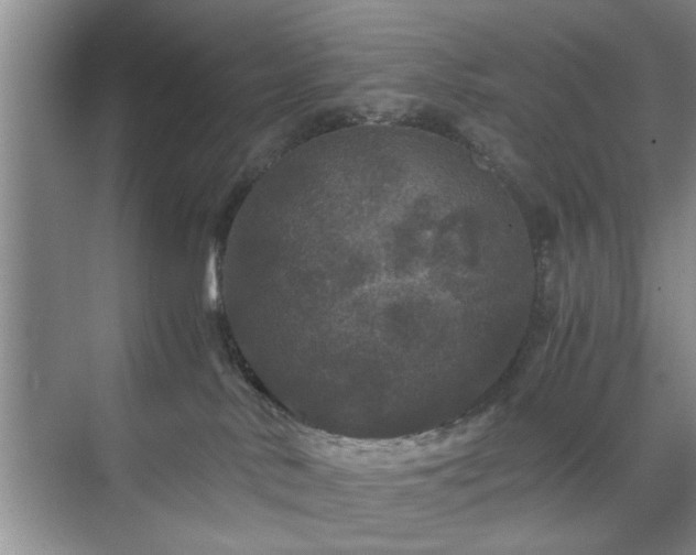 X0000071760042200607071247