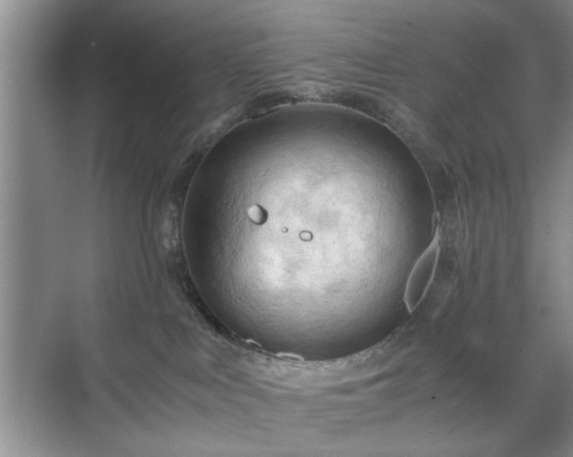 X0000071760043200607071247