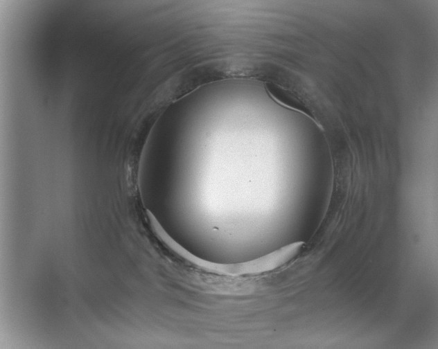 X0000071760044200607071247