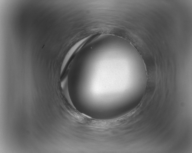 X0000071760045200607071247