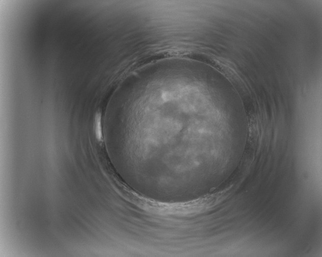 X0000071760046200607071247