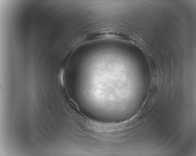 X0000071760047200607071247