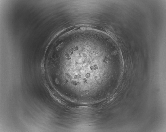 X0000071760050200607071246