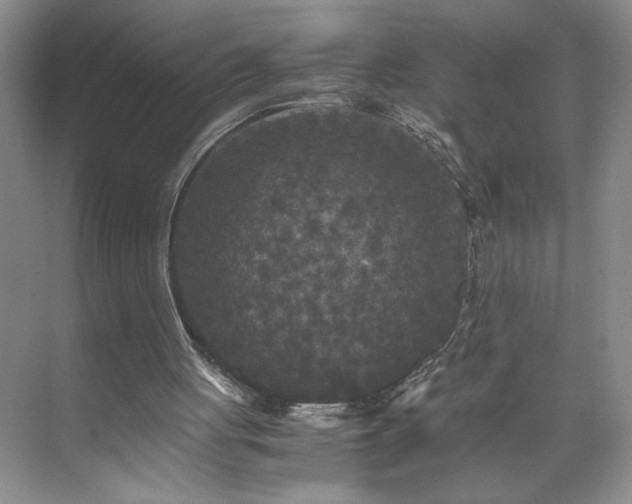 X0000071760051200607071246