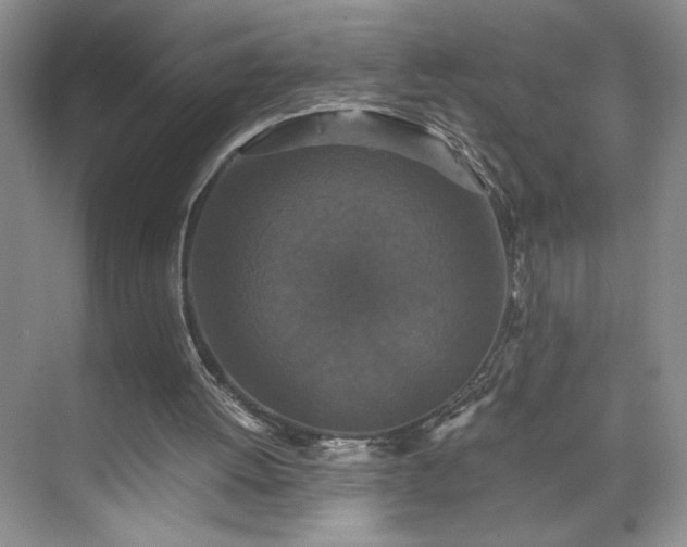 X0000071760052200607071246