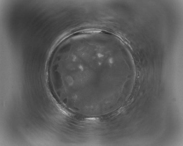 X0000071760053200607071246