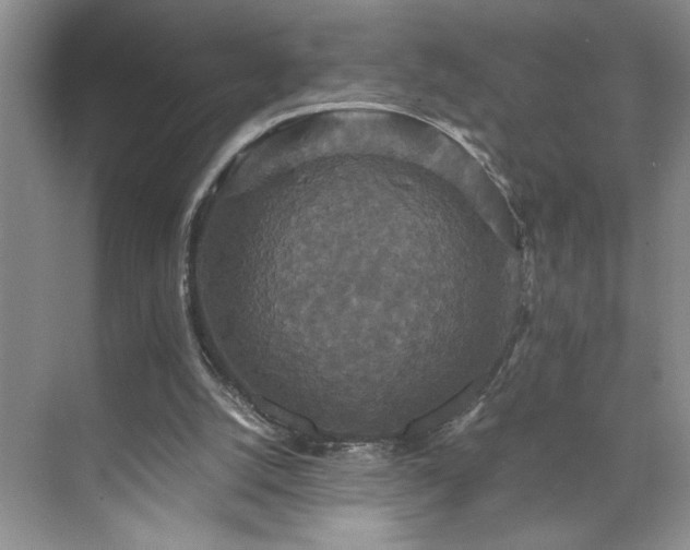 X0000071760056200607071246