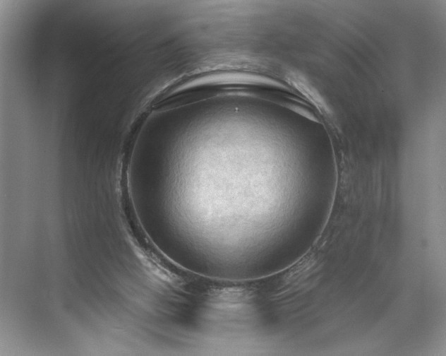 X0000071760058200607071246