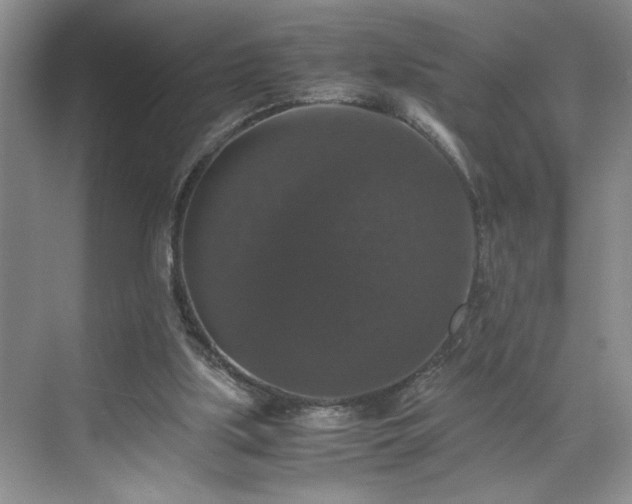 X0000071760059200607071246