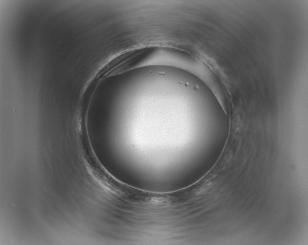 X0000071760060200607071246