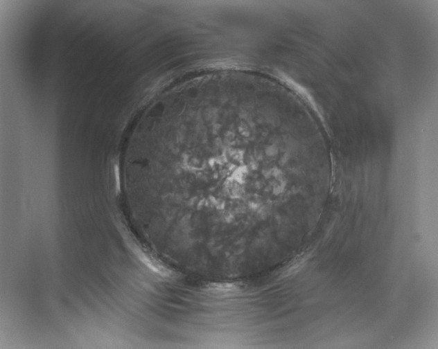 X0000071760061200607071246