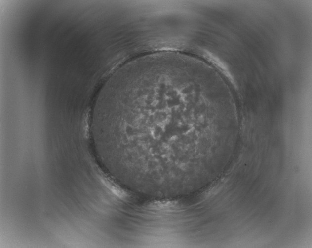 X0000071760065200607071246