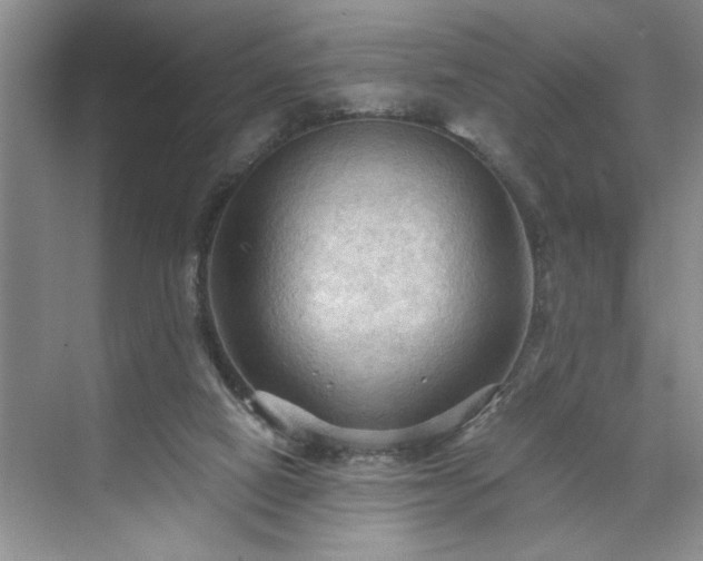 X0000071760066200607071246