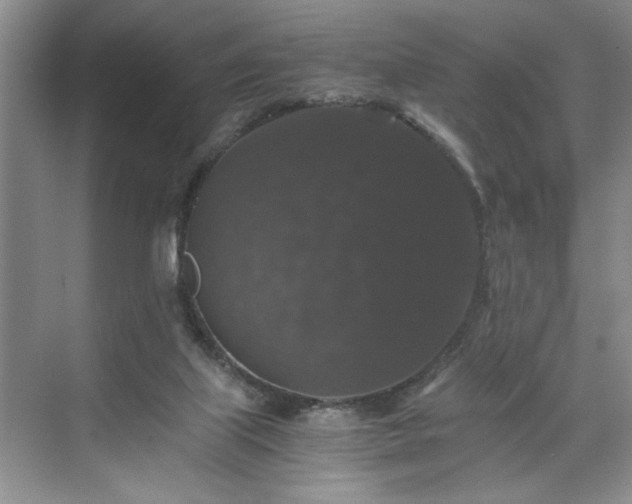 X0000071760067200607071246