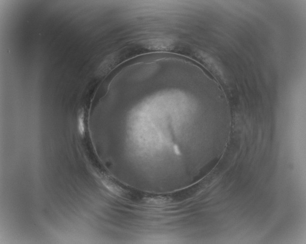 X0000071760069200607071246