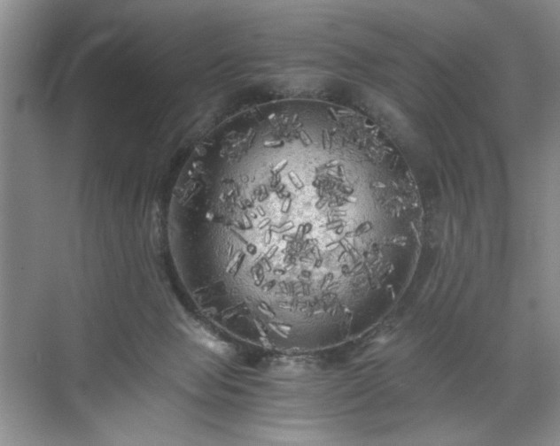 X0000071760077200607071247