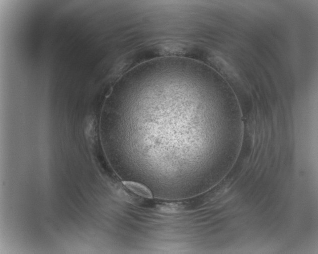 X0000071760079200607071247