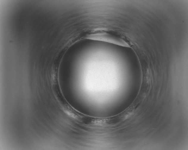 X0000071760084200607071247