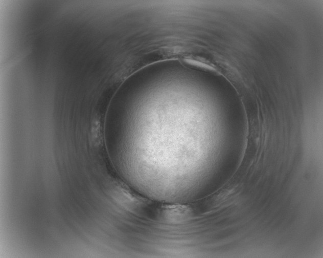 X0000071760087200607071247