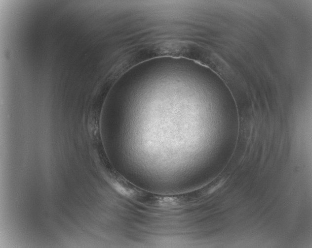 X0000071760091200607071247