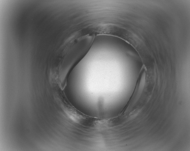 X0000071760092200607071247