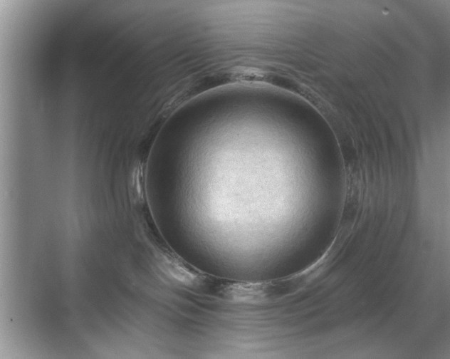 X0000071760094200607071247