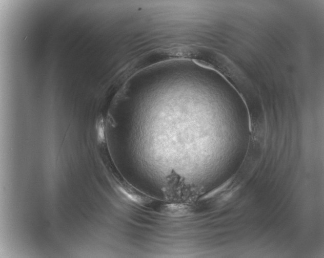 X0000071760095200607071247