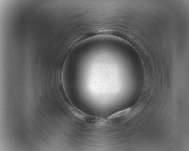 X0000071760096200607071247