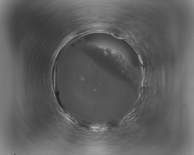 X0000071760099200607071246