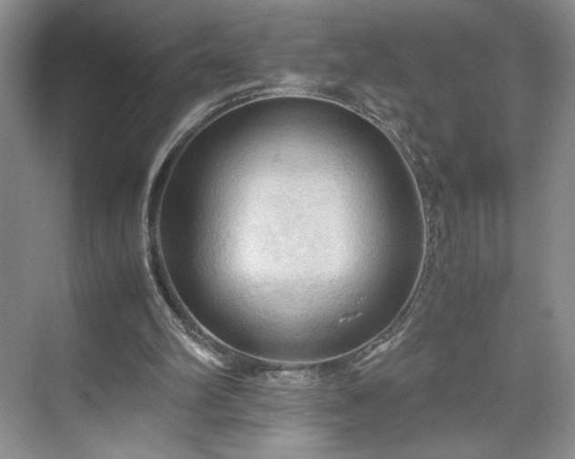 X0000071760102200607071246