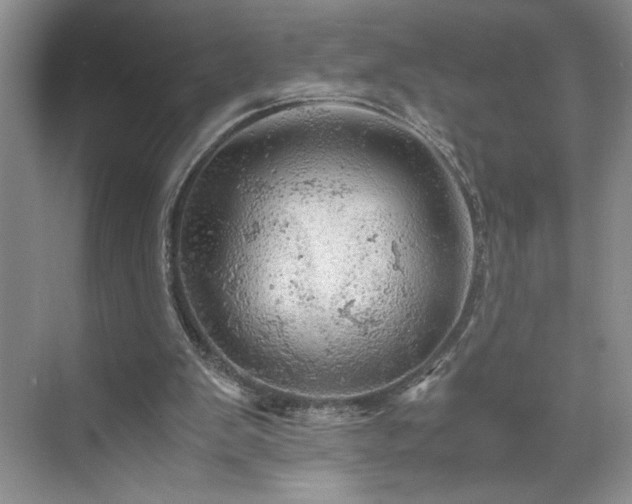 X0000071760103200607071246