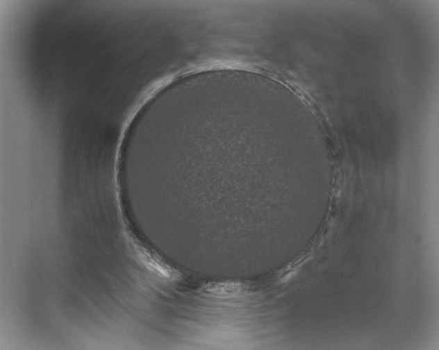 X0000071760104200607071246